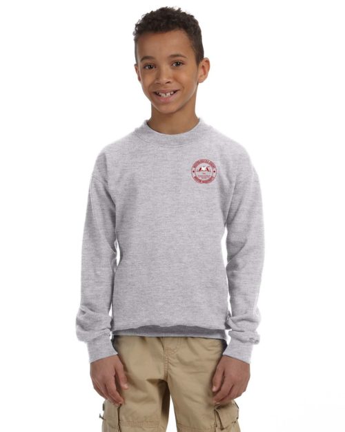 Sweartshirt Grey - Image 2
