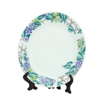 7.5" Rim Plate with Vine